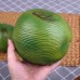 塑料仿真椰子模型大號假水果蔬菜擺件櫥柜裝飾食品玩具大椰果道具