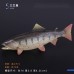 仿真動物模型鳥類海洋鯊魚昆蟲中國龍火鳳凰螃蟹蜜蜂道具