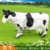仿真動物園模型場景配件假山鳥巢樹樁農場莊園玩具圍欄柵道具