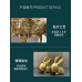 客廳玄關酒柜電視柜小擺件現代辦公室高檔輕奢軟裝搭配家居裝飾品