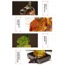 納福招財葫蘆白菜大象一對家居酒柜玄關電視柜擺件喬遷新居禮品